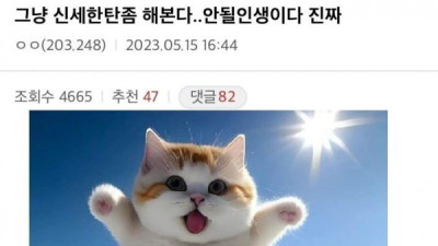   				열심히 돈 모아서 땅 산 좋소인의 최후			