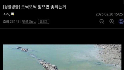   				오싹오싹 밟으면 조옷되는거			