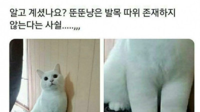   				알고 계셨나요?			