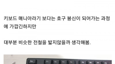   				키보드 매니아가 되어가는 과정			