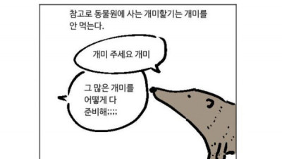   				불쌍한 동물원의 개미 핥기			