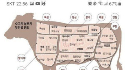   				정말 잘 먹는 한국인들			