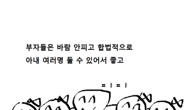 일부다처제 도입이 시급한 이유