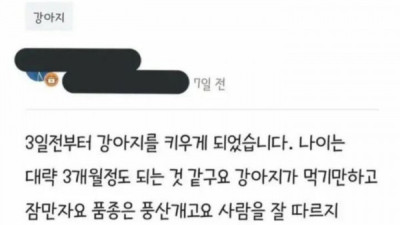   				강아지가 너무 잡니다. 이유가 있을까요?			