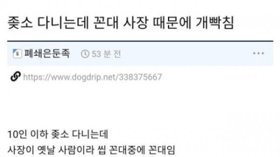   				빡치게 하는 ㅈ소의 꼰대 사장님			