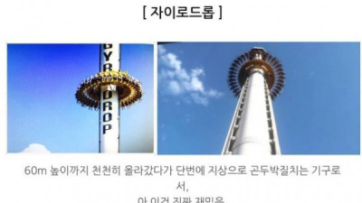   				한 번쯤 들어본 놀이기구 괴담			