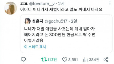   				재벌 애인을 사귀었는데 걔네 엄마가 헤어지라고			