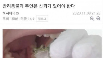   				반려 동물과의 진정한 신.뢰			