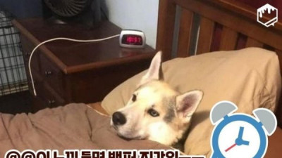   				대왕지각인 걸 예감했을 때 			