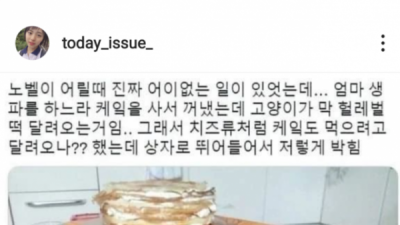   				케이크를 꺼냈더니 고양이가 헐레벌떡 달려와선...			