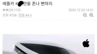   				어떤 디씨인이 추측하는 애플카			