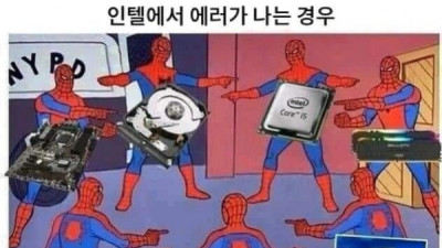   				인텔과 AMD CPU 별 에러 가 나는경우			