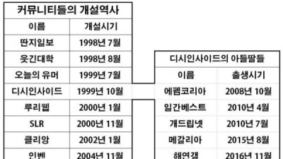   				대한민국 커뮤니티의 역사			