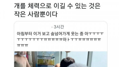   				물놀이하다가 개지친 강아지 근황 ㅋㅋㅋㅋㅋㅋㅋㅋㅋㅋㅋㅋ			