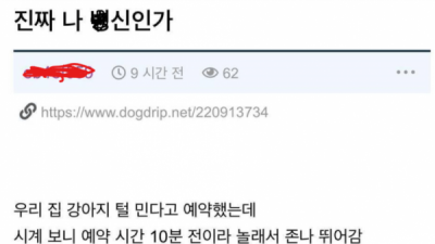   				아니 진짜 나 X신인가?			