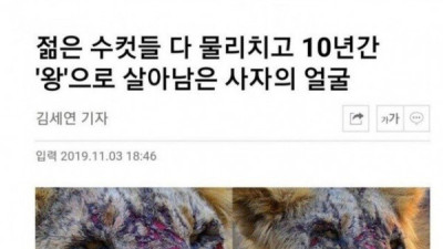   				제갈량은 거품입니다. 예법도 잘 모르는 사람이었네요			