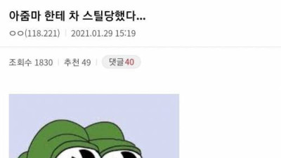   				아주매미에게 차를 스틸당한 디시인			