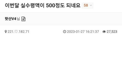 실수령 500의 삶