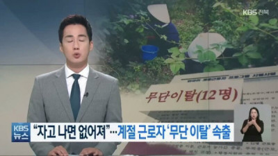   				싱글벙글 요즘 외국인 노동자들 근황..			