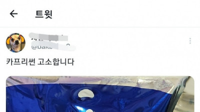   				종이빨대로 바뀐 카프리선			