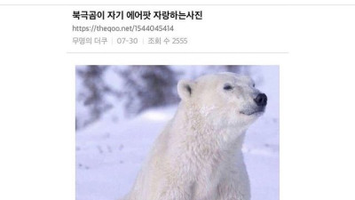 에어팟 북극곰 에디션