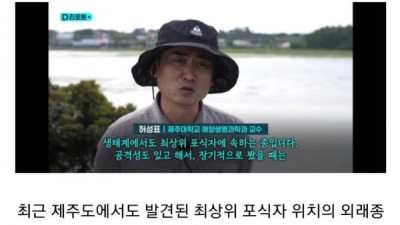   				싱글벙글 생태계 교란종 근황			