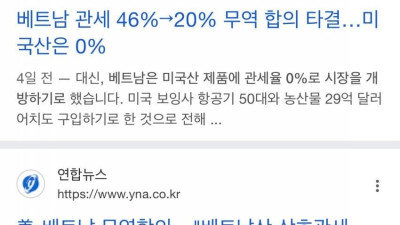 베트남 관세 46%  20% 이유