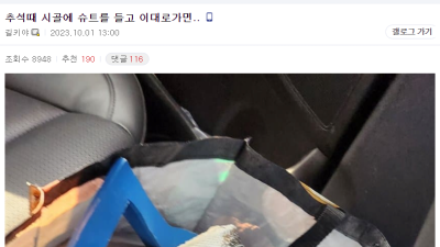 추석 때 시골에 슈트를 들고 간 디시인