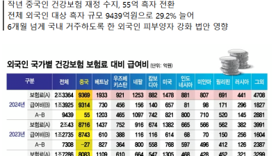 한국 가면 4억 버는 꼴 그 많던 중국인 건보 먹튀 뚝