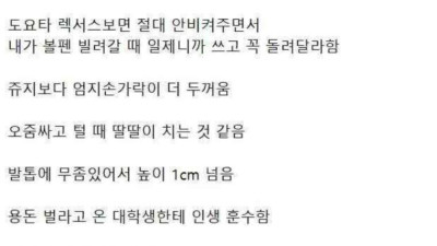 노가다판 막장 인생 아재들 빼박 특징