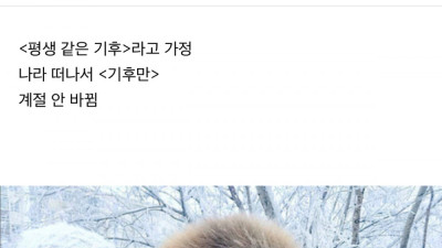 -45도에서 살래? 영상 45도에서 살래?