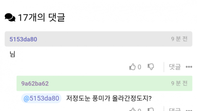 치즈에 난 곰팡이는 먹어두되지?