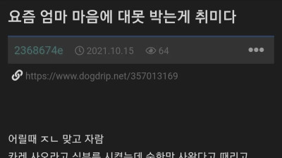 엄마 가슴에 대못 박는게 취미