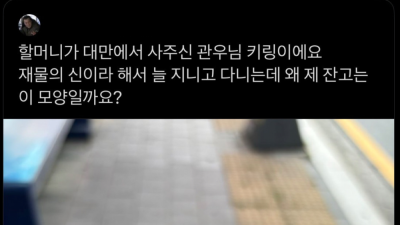 할머니가 대만에서 관우 키링 사오셨어
