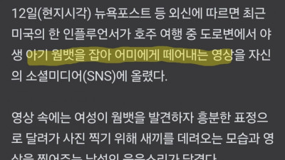 현재 호주에서 논란 되고 있는 미국녀 행동