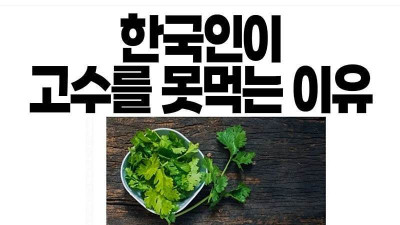 한국인이 고수 못 먹는 이유