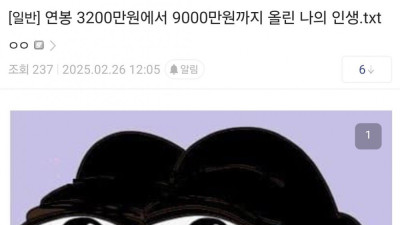 연봉 3200만원에서 9000만원이 됐다는 주갤러