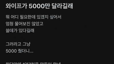 5000만원 빌려서 3배 넘게 불려온 와이프 ㄷㄷ