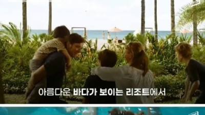 인도양 쓰나미 후 17년만에 벌어진 기적같은 일