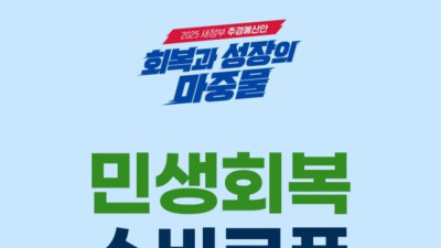 민생회복 소비쿠폰 정리