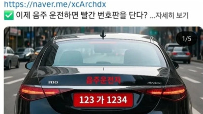 97%가 찬성한다는 자동차 빨간 번호판