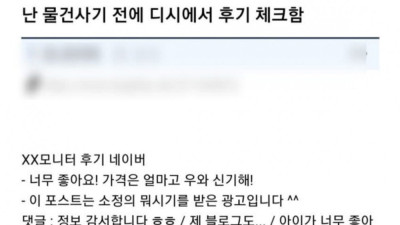 물건 사기 전에 디시에서 후기 체크하는 방법