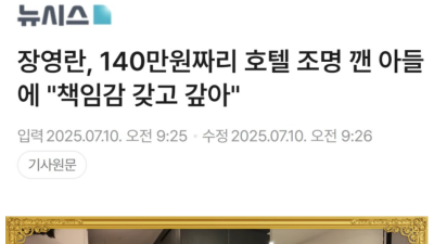 장영란 호텔 조명 깬 아들에 140만 직접 갚아
