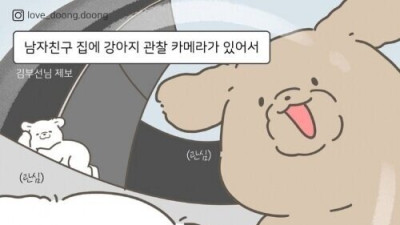 남자친구네 강아지 관찰카메라 후기
