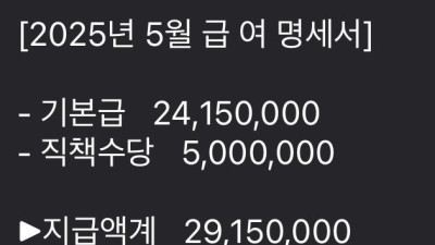 한달 월급 세후 2천만원 체감하기
