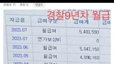 경찰 9년차 월급 인증