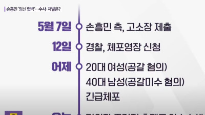 서울 강남 경찰서 손흥민 고소장 제출 후 행적 정리