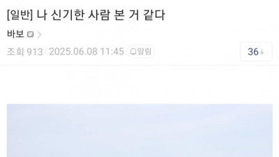 일본가서 신기한 사람 본 야갤러 
