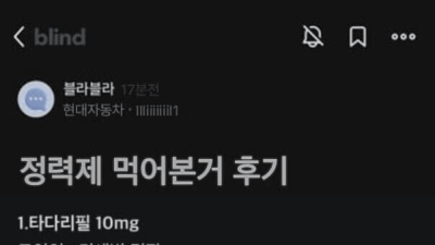 블라 현차남의 정력제 먹어본 후기