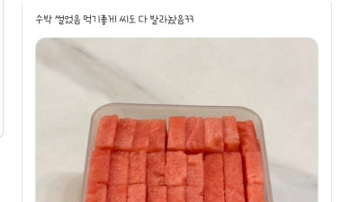 먹기 좋게 썰고 씨도 다 발라놓은 ㅎㄷㄷ한 수박